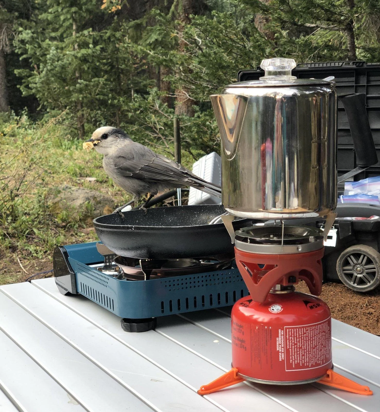 Jeep Gladiator Camping with your Gladiator IMG_5331