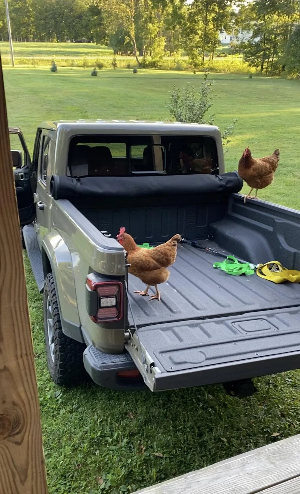Jeep Gladiator What did you do WITH your Gladiator today? EBF114B0-7A2C-4B82-AE36-C7198125D9A2