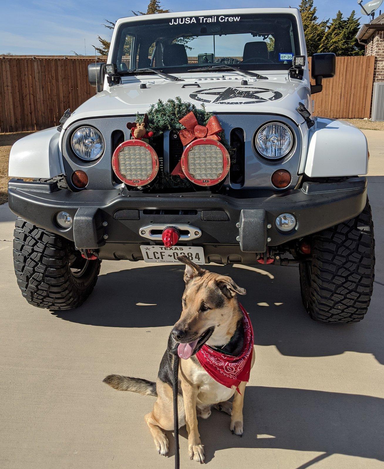 Jeep Gladiator Glad(iator) Dogs! Let's see 'em! MVIMG_20191224_133822 (2)