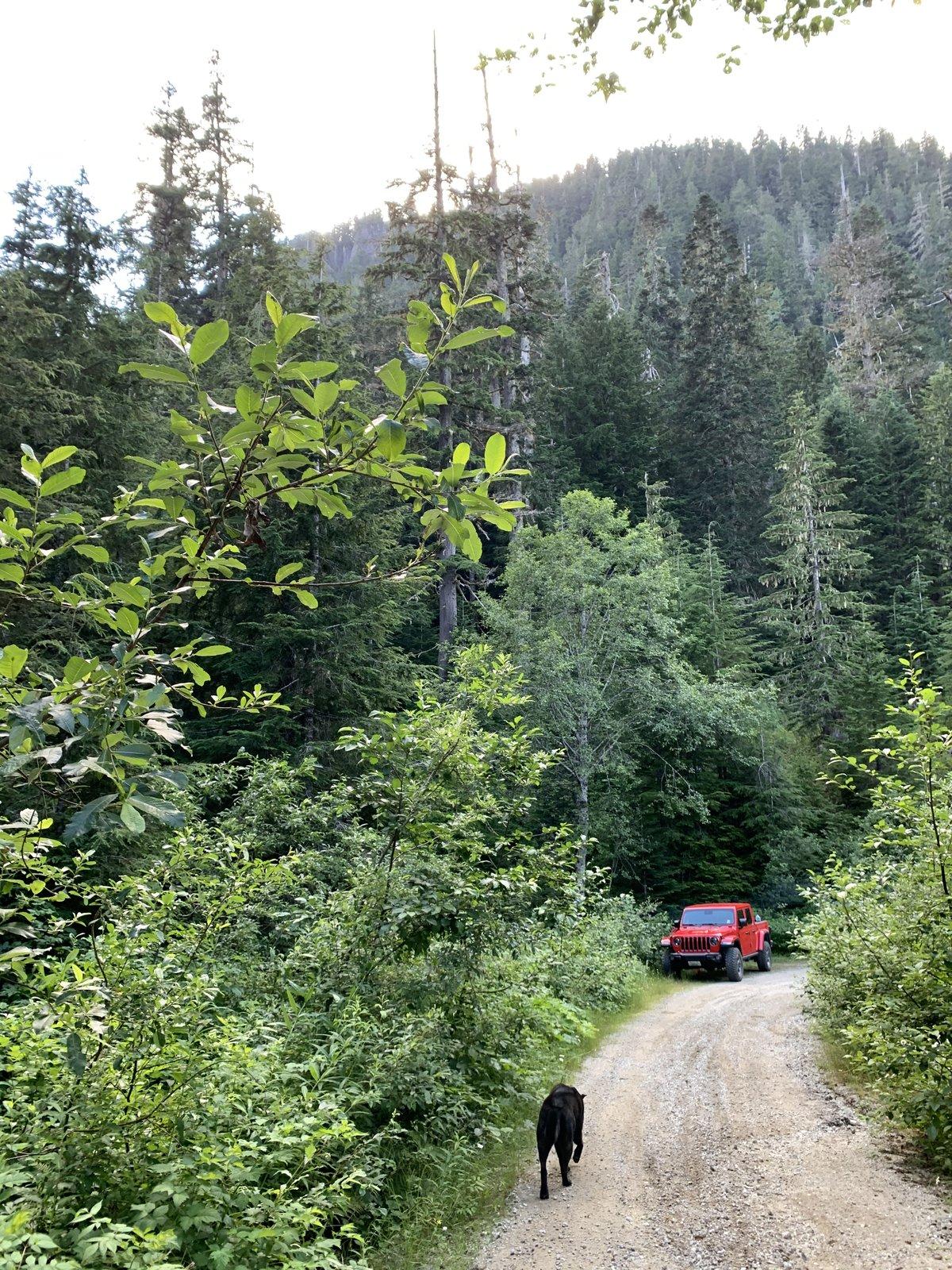 Jeep Gladiator What did you do TO your Gladiator today? [ADMIN WARNING: NO POLITICS, NO GUN TALK] 786F4B8B-2344-45A4-AD88-997D44E164B4