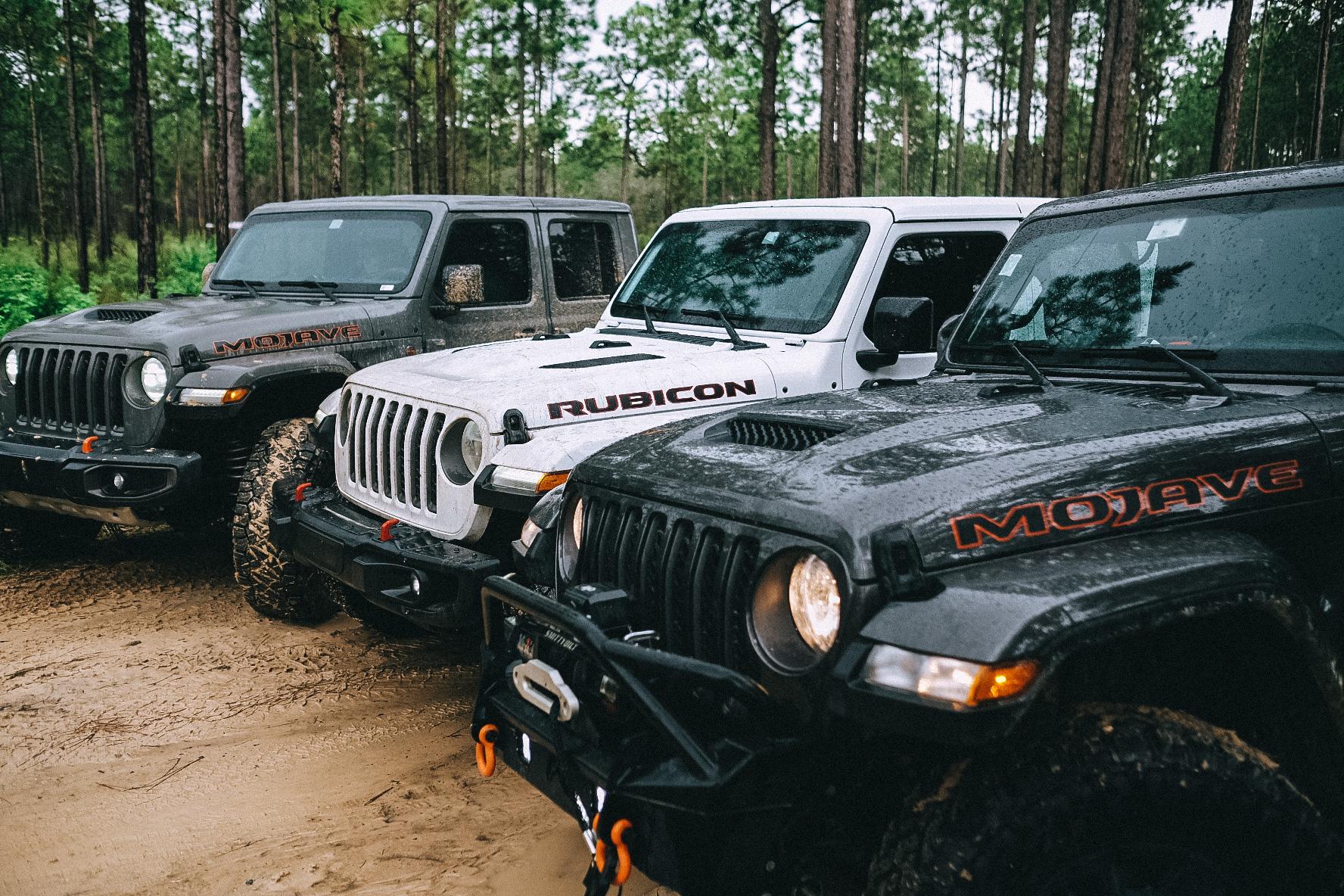 Jeep Gladiator Two Mojaves and a Rubicon walk into a bar..... 119C9FF3-9B6D-4CF3-B41F-5B30DE5B3307