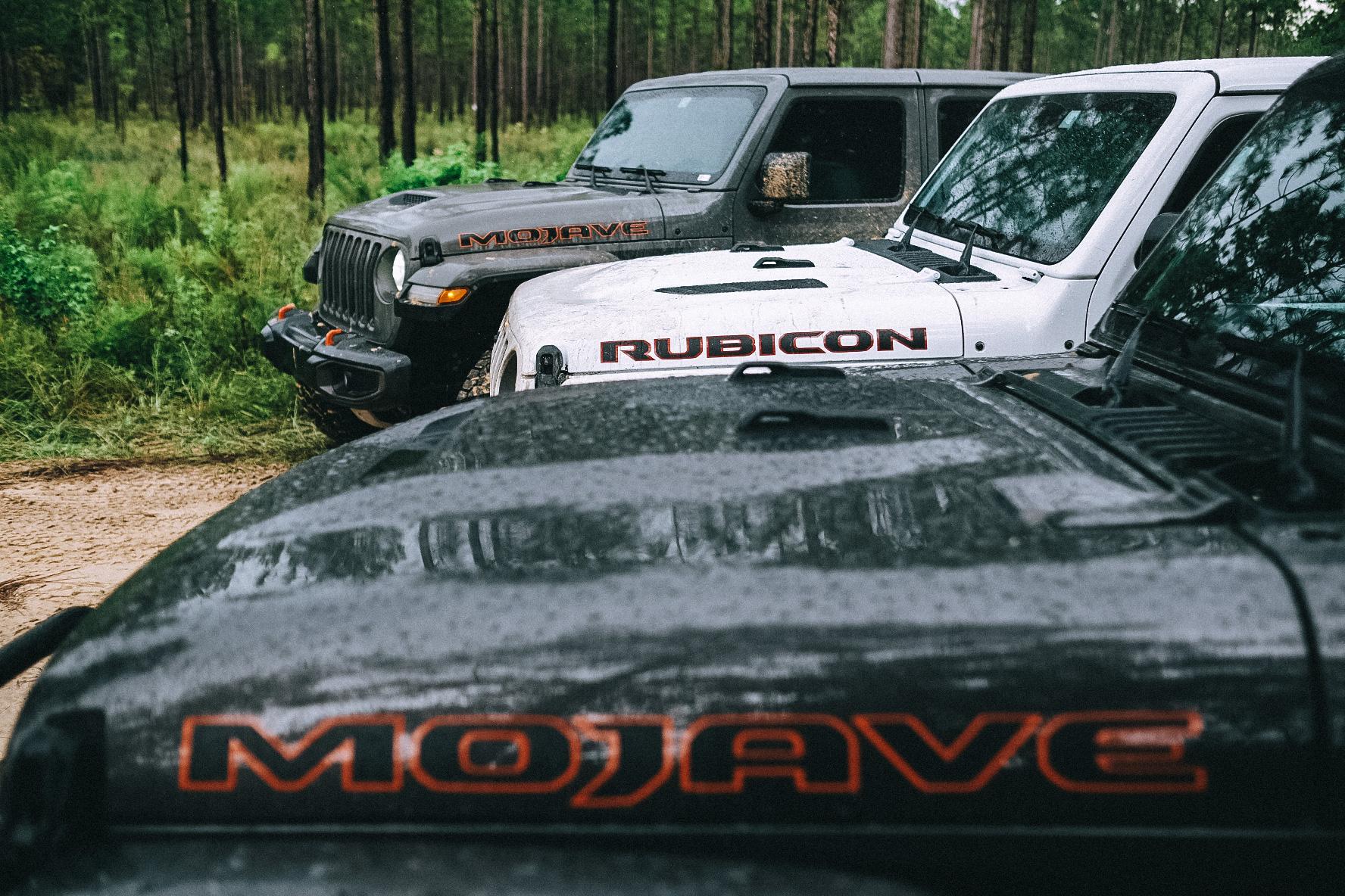 Jeep Gladiator Two Mojaves and a Rubicon walk into a bar..... 2506CFF0-B7A6-44C9-A5BA-3CEA3965D54B