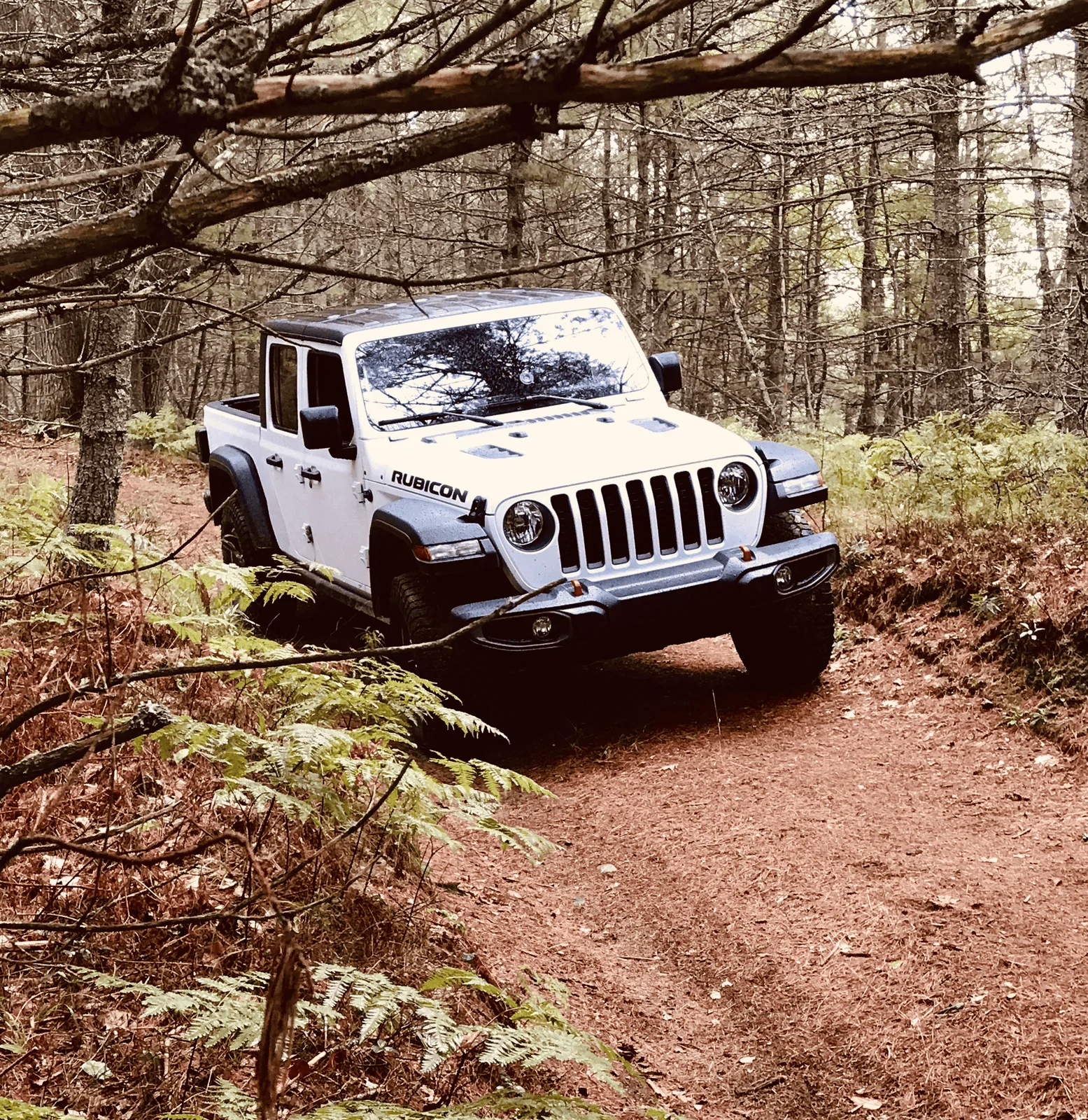 Jeep Gladiator BRIGHT WHITE Gladiator JT Club IMG_4600.jpeg