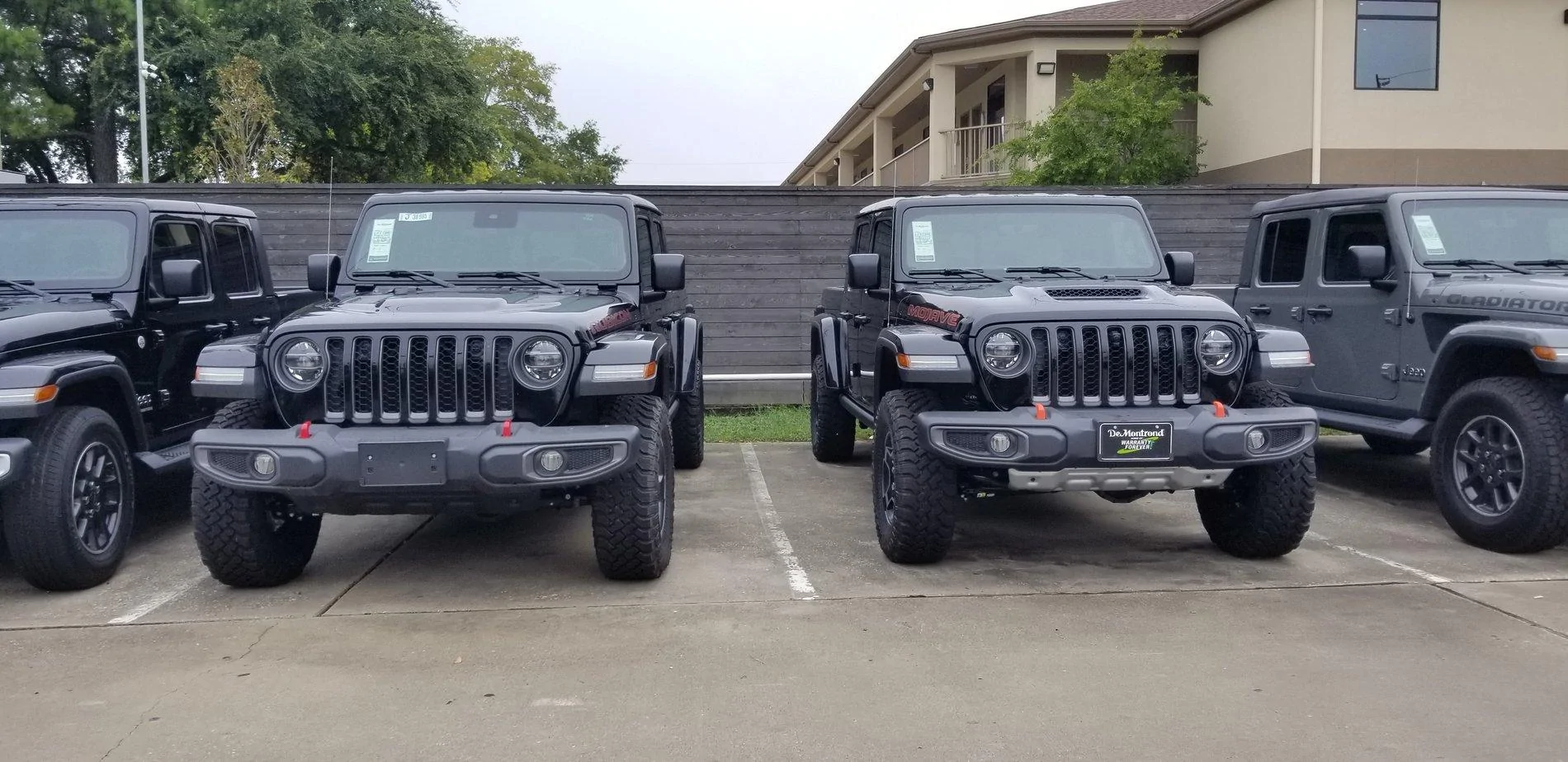 rubicon-vs-mojave1.jpg