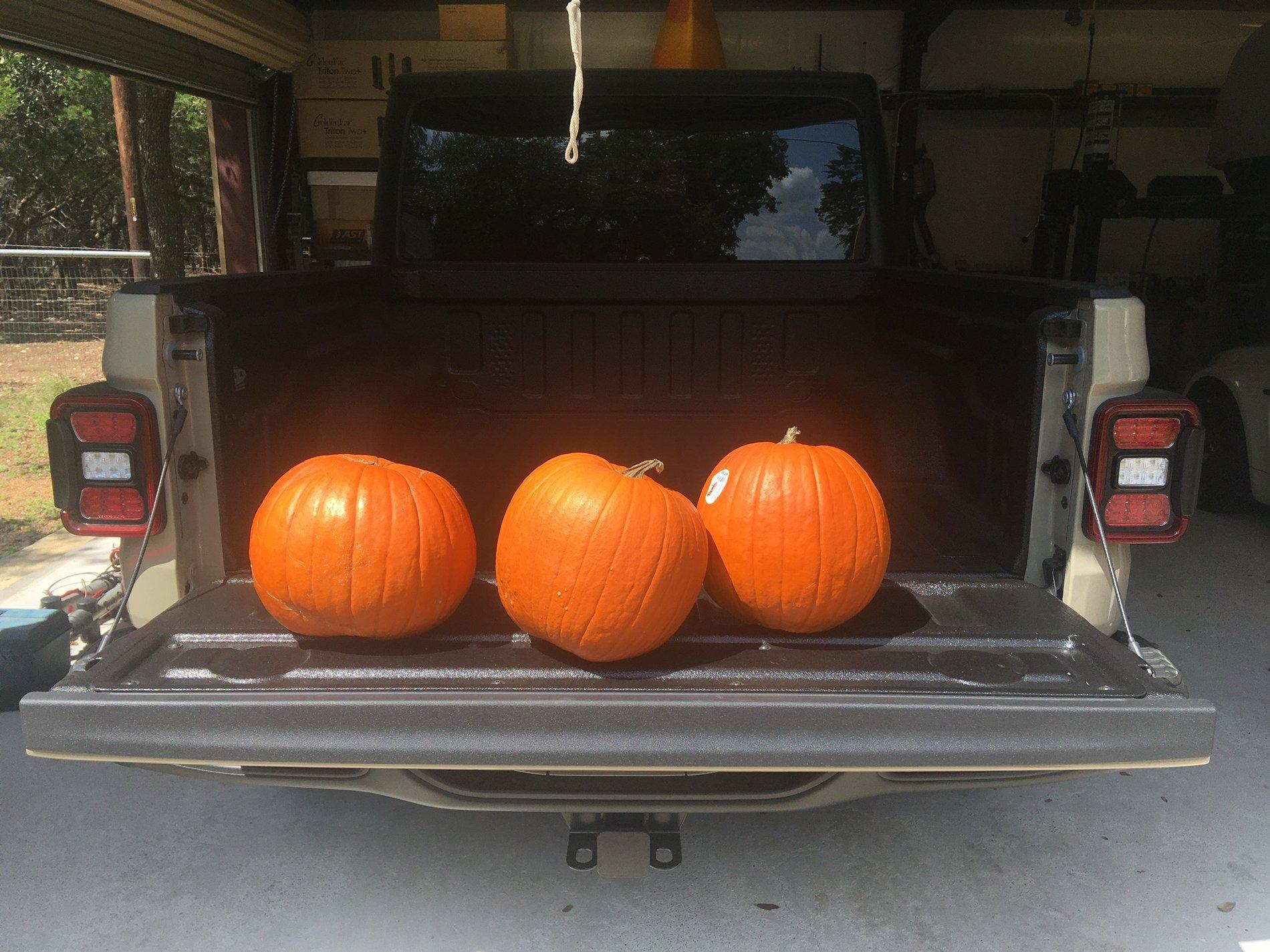 Jeep Gladiator What did you HAUL in your JT today? 51F1BF2B-C7D6-4BD4-B241-06E8F639906C