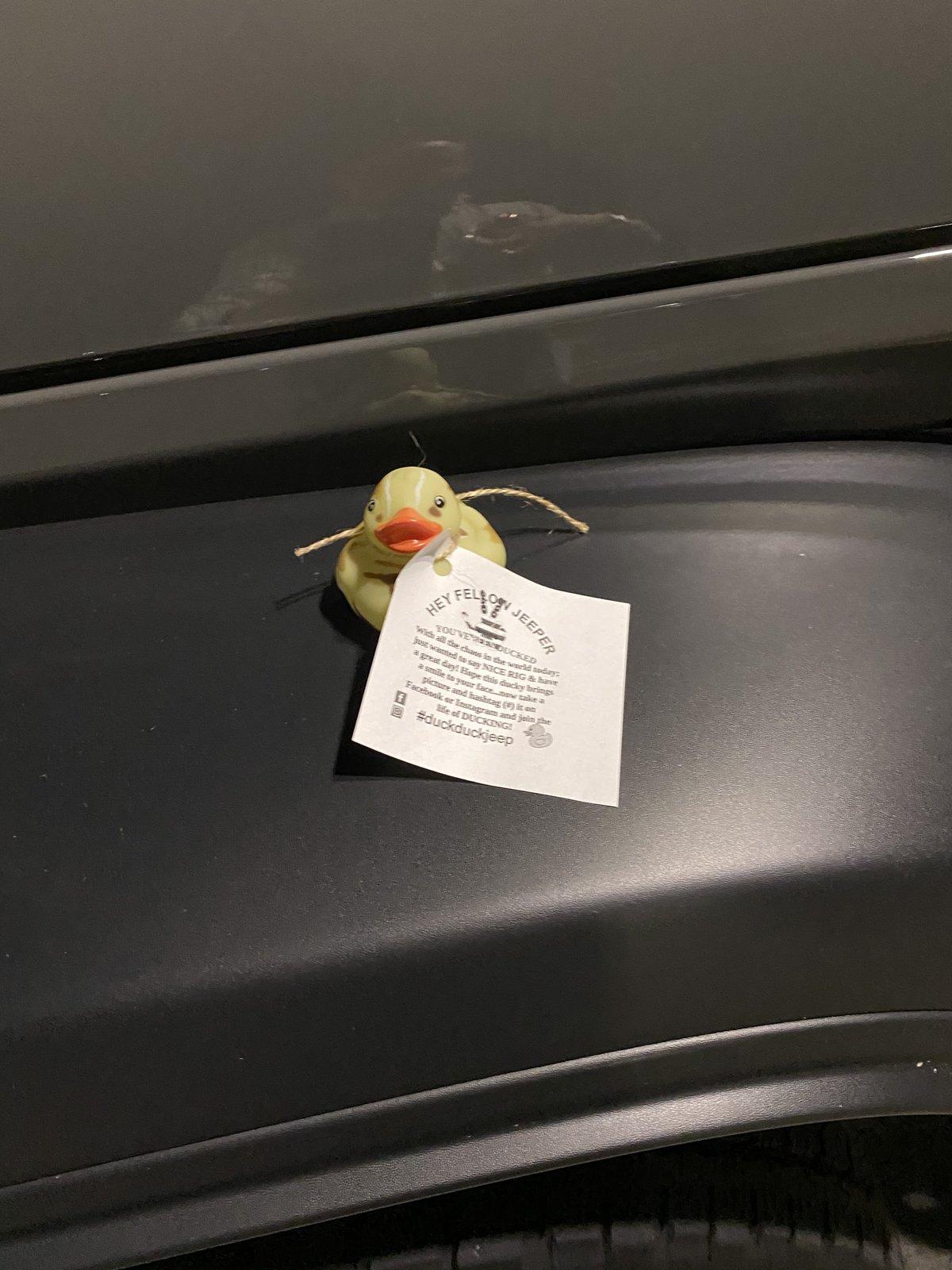 Jeep Gladiator Got Ducked! B23AED8A-2974-4C3B-9977-6D8ACCEB5554