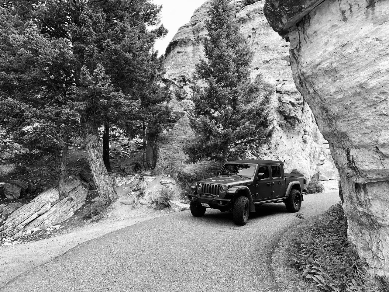 Jeep Gladiator Gladiator Glamour Shots DFC0E802-9813-499E-BBCB-1FDA3CB7DA49