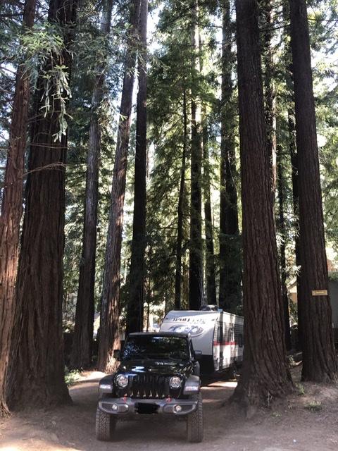 Jeep Gladiator What did you do WITH your Gladiator today? A15616A4-15E1-42A4-A6CA-982B54F405D9