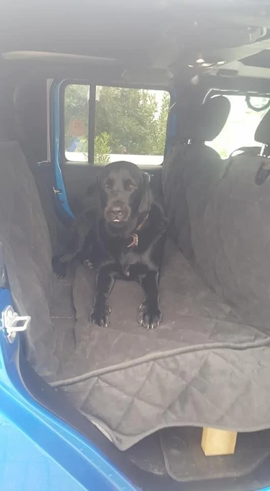 Jeep Gladiator Rear seat modification for dog’s. E090E520-0FB4-4A03-96F7-738CDF830EE1