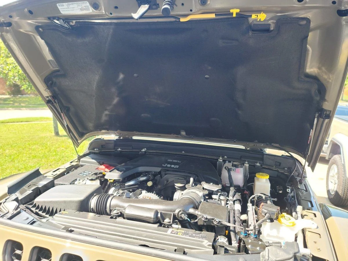 Jeep Gladiator "SWAMPI-Gator" Build Thread 20200925_121536