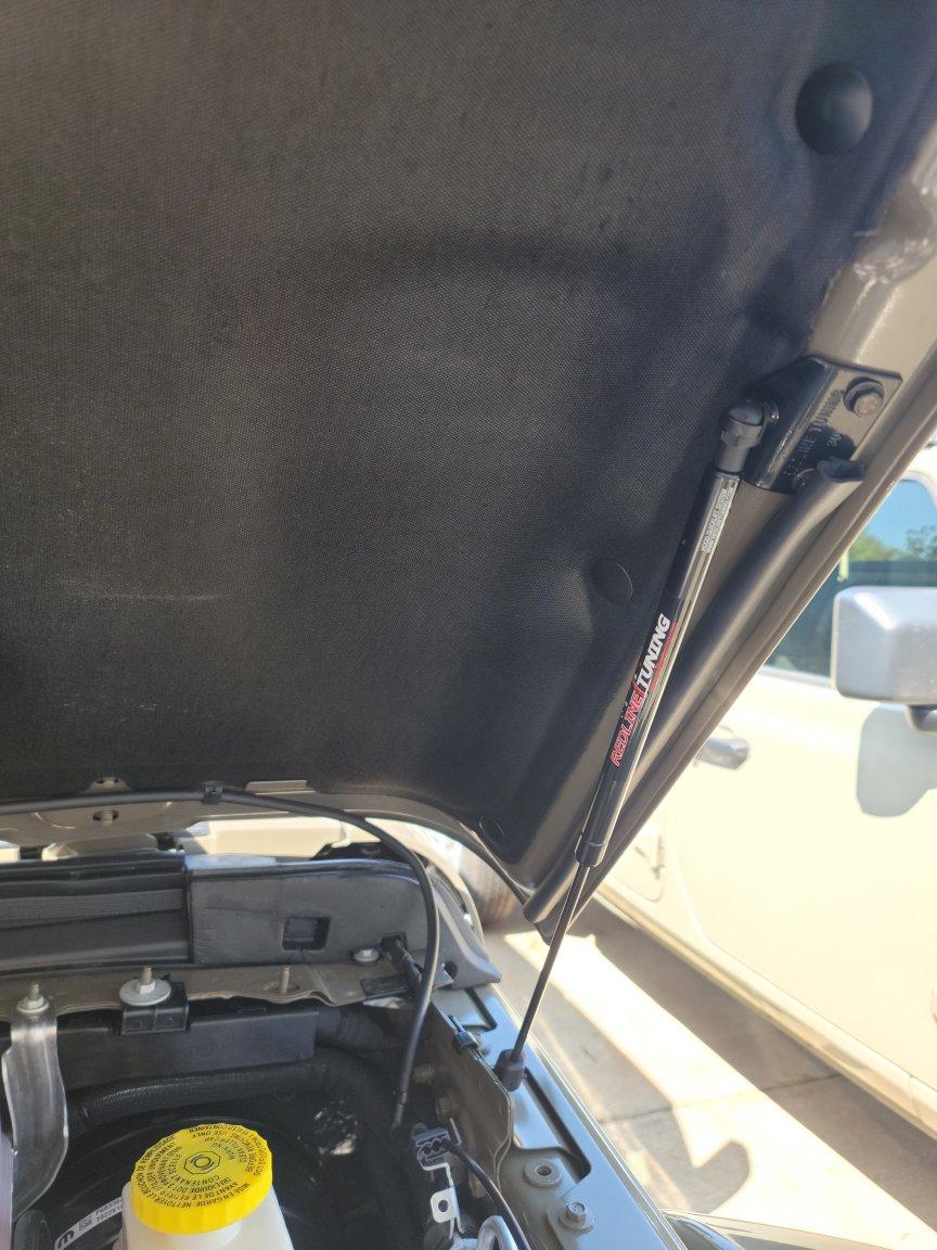 Jeep Gladiator "SWAMPI-Gator" Build Thread 20200925_121528