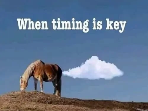 Jeep Gladiator Humor image012