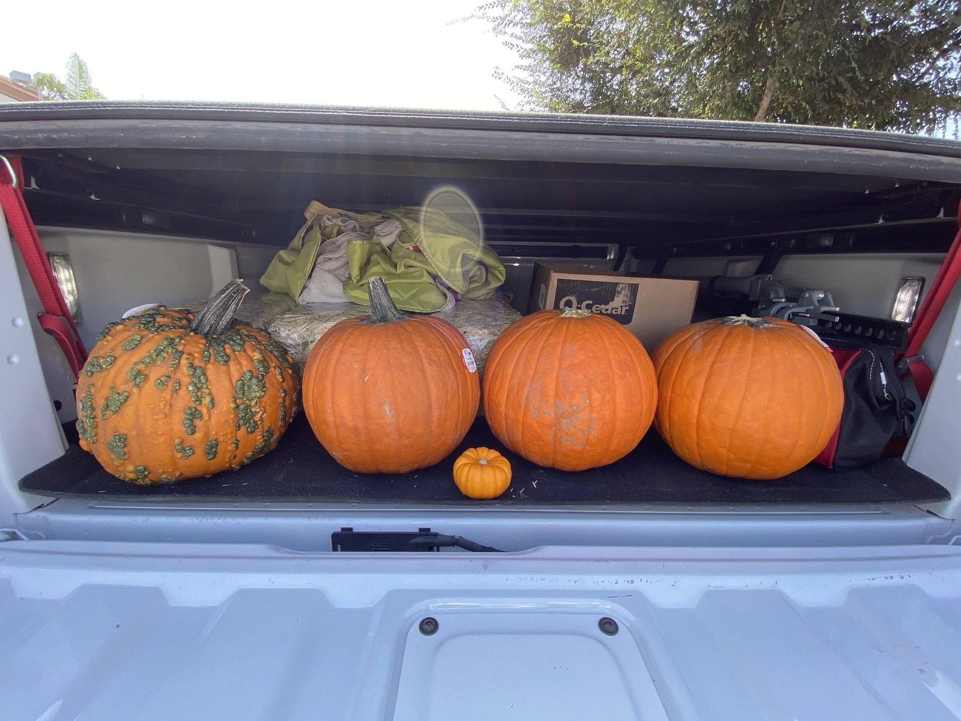 Jeep Gladiator What did you HAUL in your JT today? 7DBC9EAB-FCF6-4BE2-809A-34C3ECC0D487
