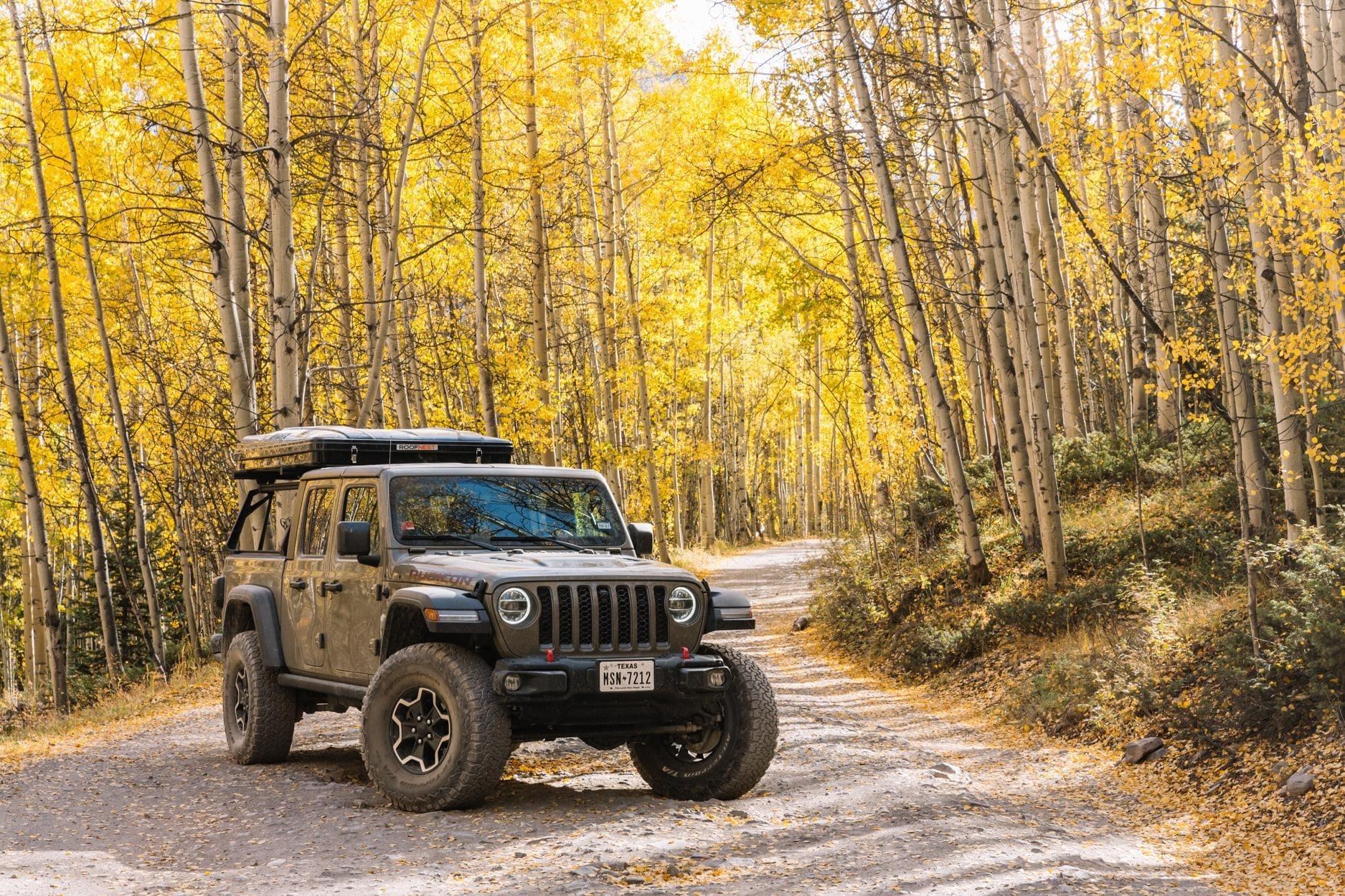 Jeep Gladiator GATOR Gladiator JT Club GOLD TREES JT.JPG