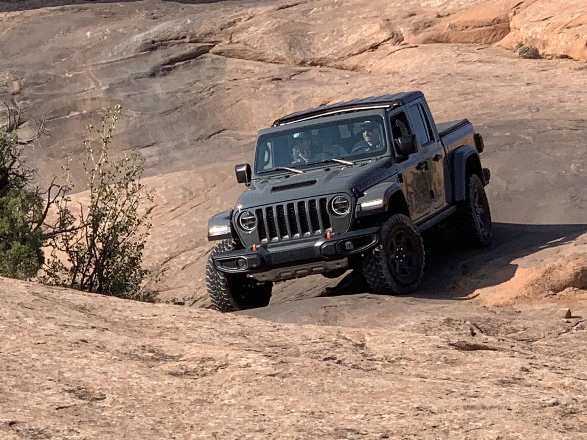 Jeep Gladiator What did you do WITH your Gladiator today? C04CCD24-6272-40B7-A46B-3253757BACEB