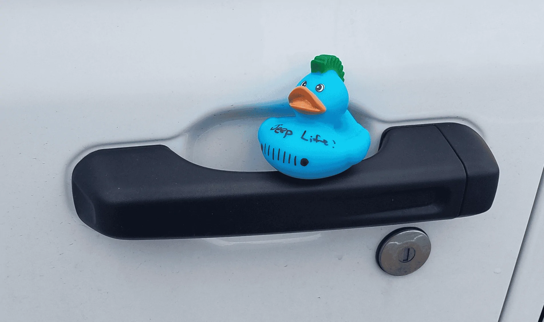 Jeep Gladiator Got Ducked! 1602127434645