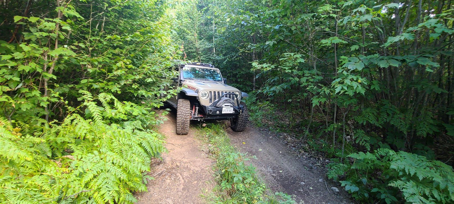 Jeep Gladiator JeepNCrowd's Overland/Rescue Build 20200904_164906