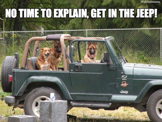 Jeep Gladiator Looks like someone just got their gladiator eabd5238f800cdc1c73b1328024e4bf9