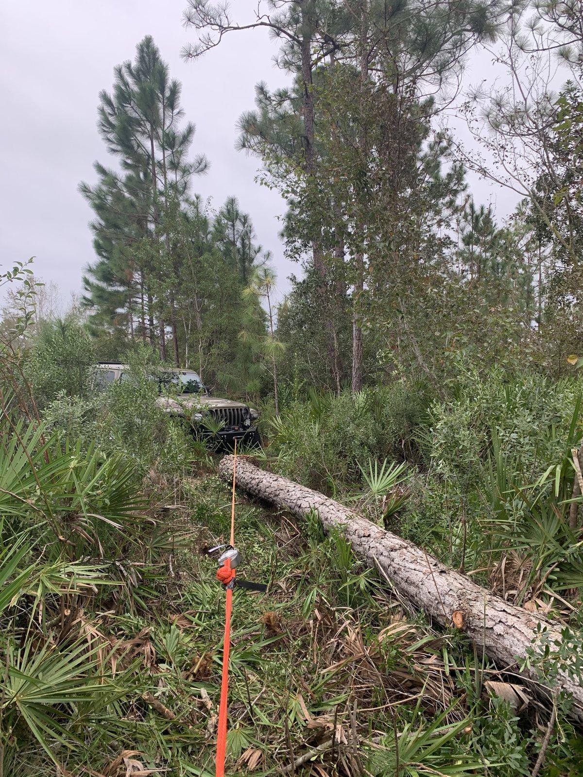Jeep Gladiator How else do you use your winch? 334C1CBF-1D8D-4796-AD92-EA2EE18DAAA3