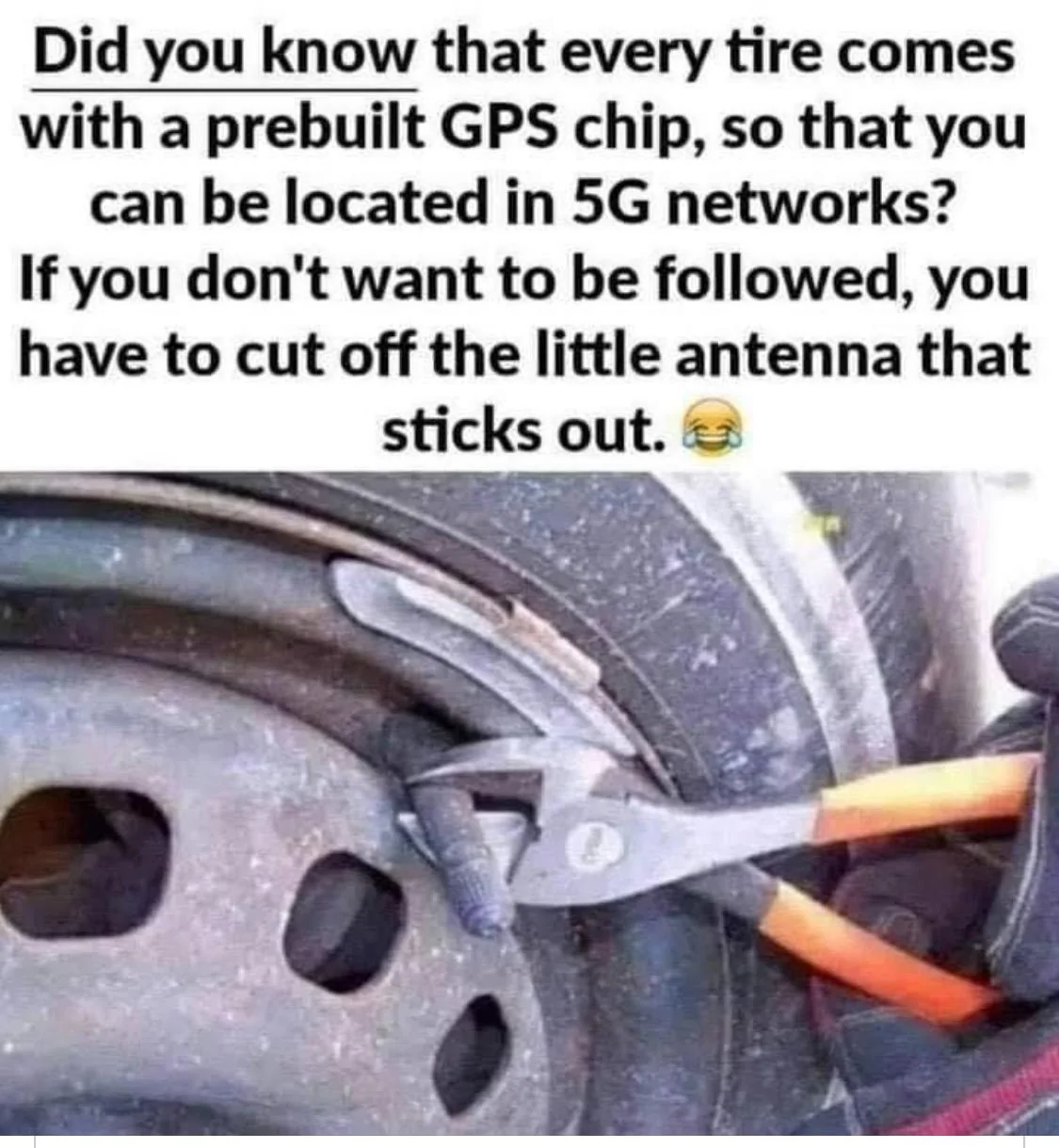 Jeep Gladiator Humor Screenshot 2020-10-18 at 9.26.36 AM