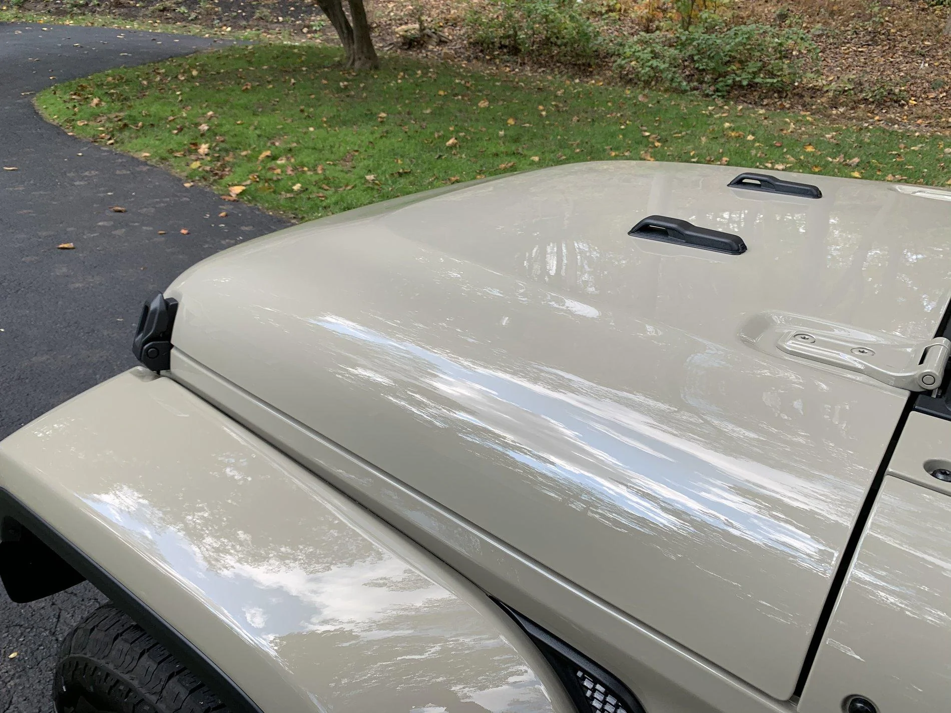 Jeep Gladiator What did you do TO your Gladiator today? [ADMIN WARNING: NO POLITICS, NO GUN TALK] ED217B6B-780D-4770-BE03-551123B74E99
