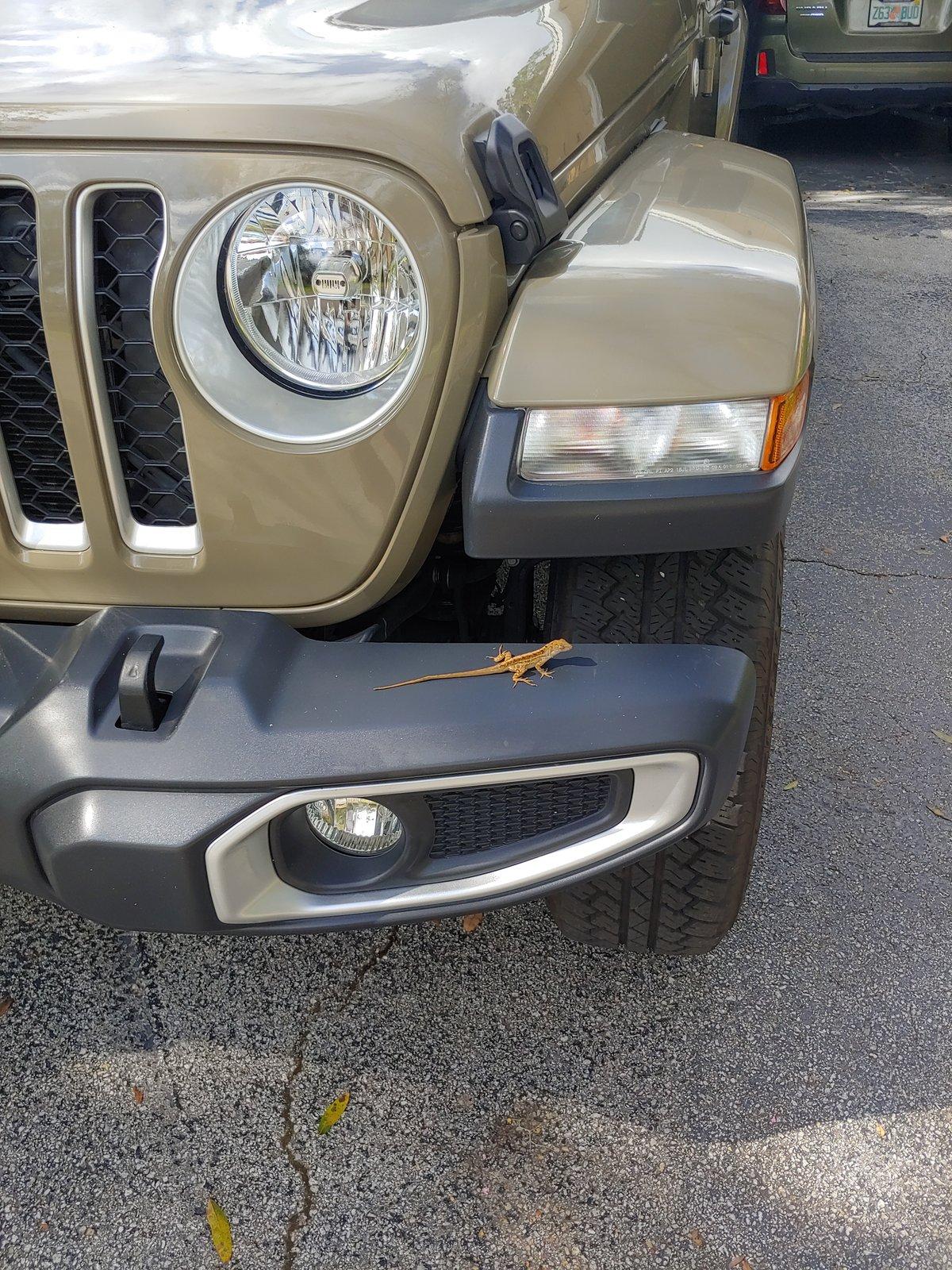 20201018_151338_HDR.jpg