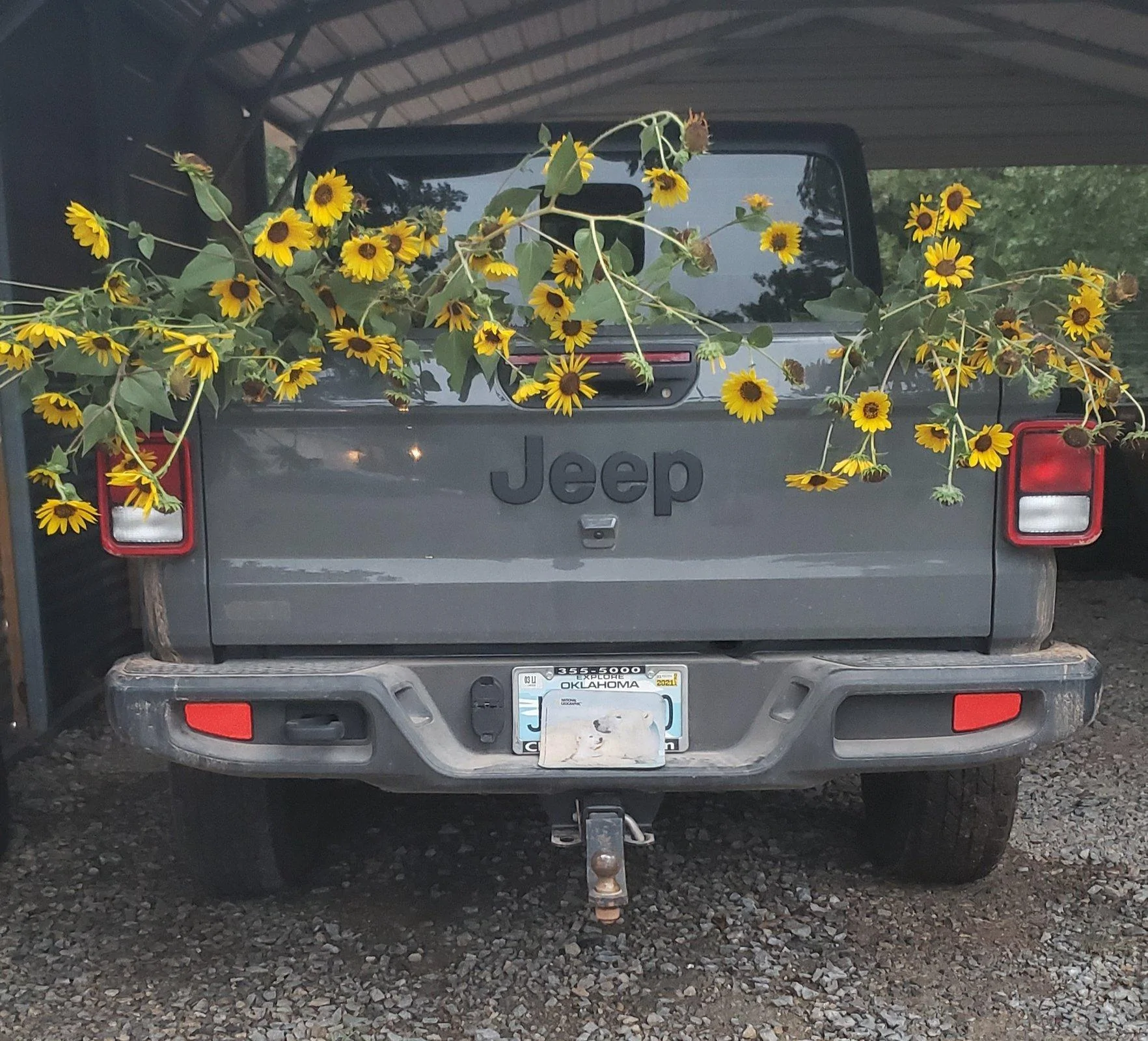 Jeep Gladiator Post your payload pics! 20200911_213745
