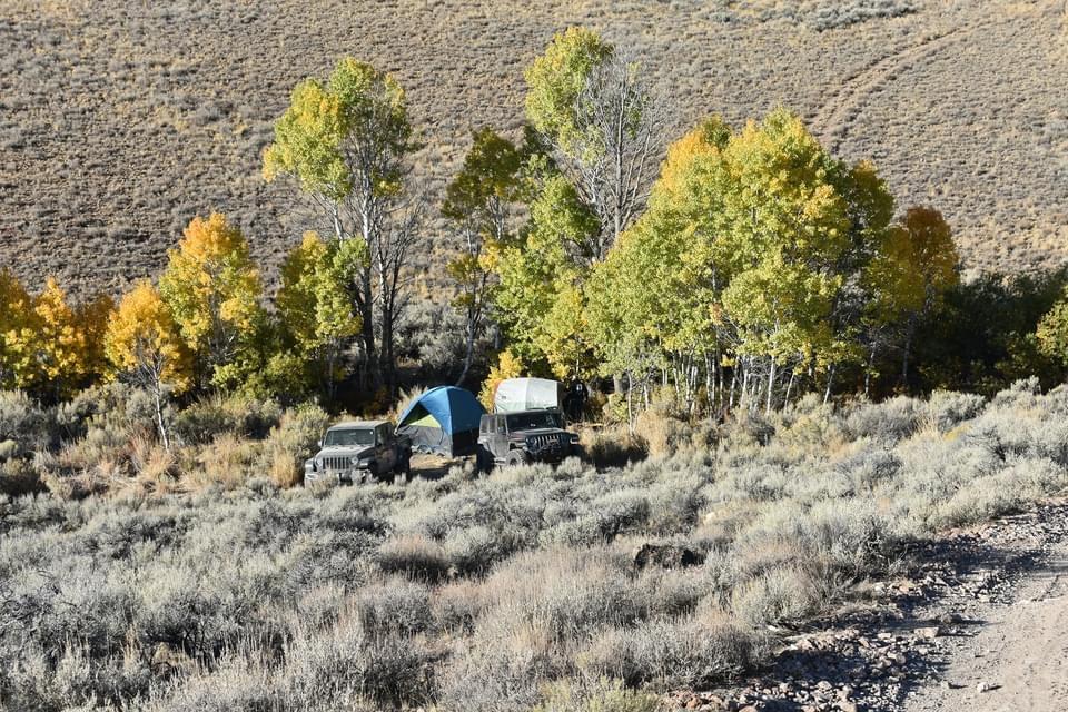 Jeep Gladiator What did you do WITH your Gladiator today? 8BF5A1A8-1009-4EE2-8F8B-37DCAE353A93