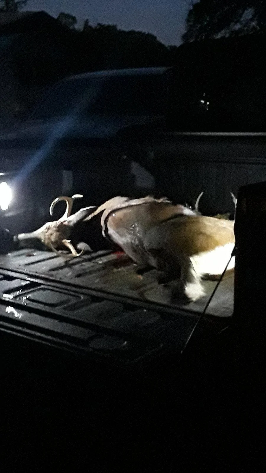 Jeep Gladiator What did you HAUL in your JT today? 20201017_191711