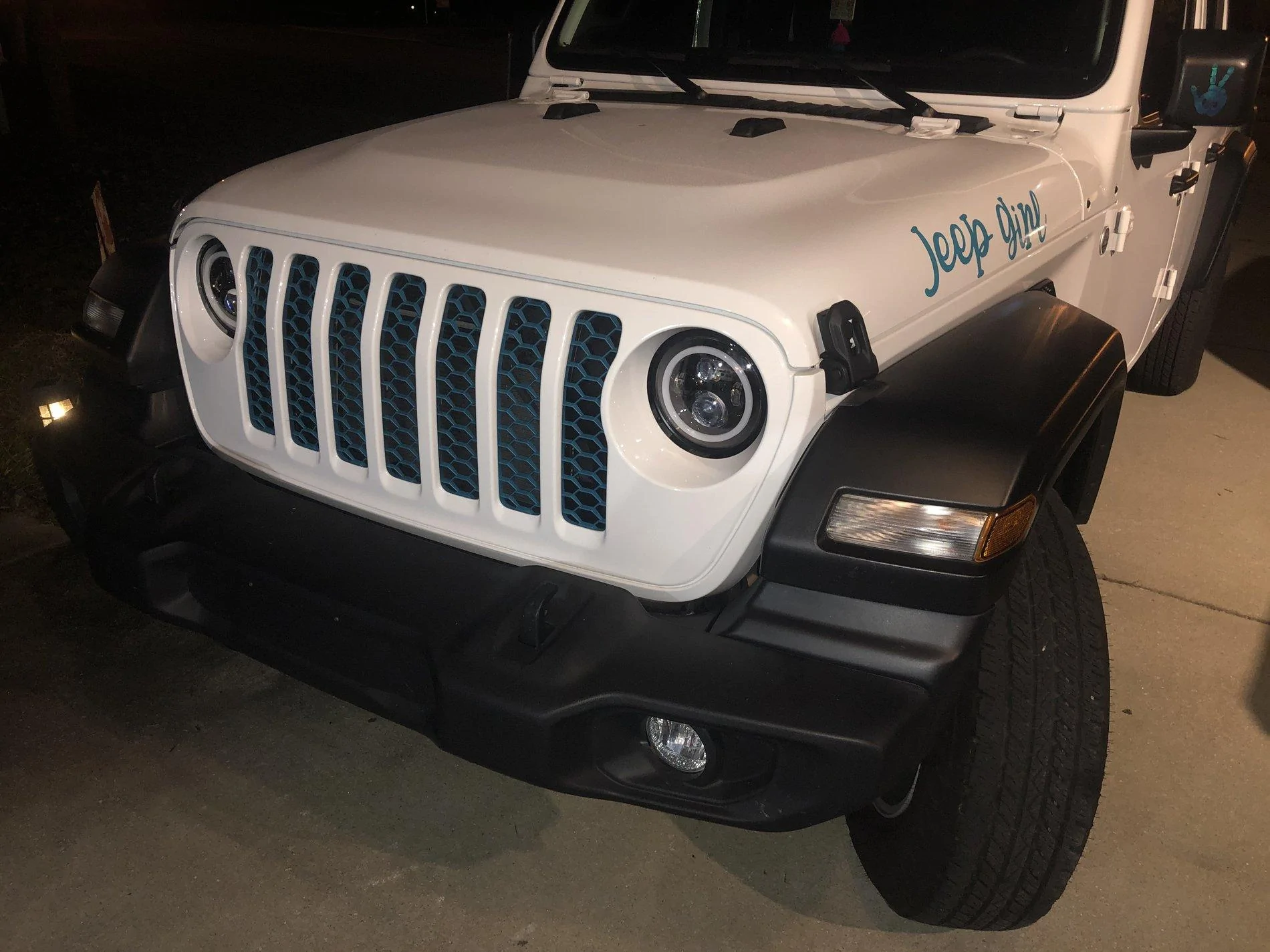 Jeep Gladiator What did you do TO your Gladiator today? [ADMIN WARNING: NO POLITICS, NO GUN TALK] IMG_9168