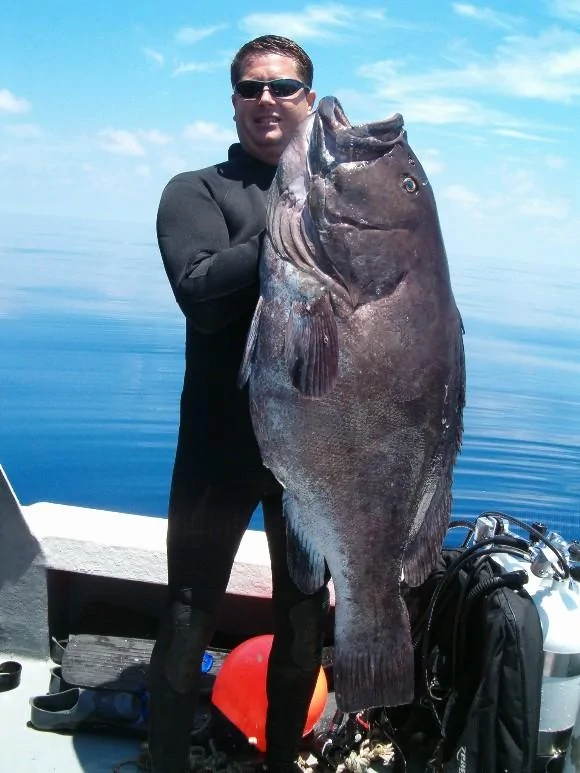 fish_huge.jpg