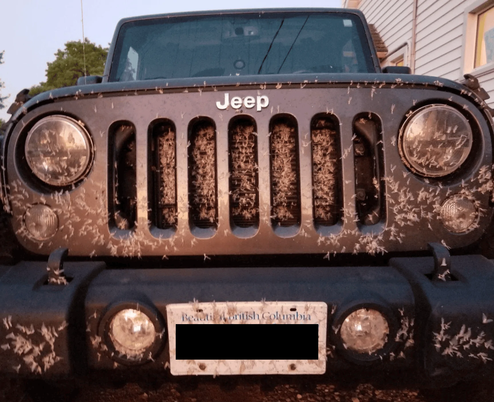 Jeep Gladiator Dear Jeep - Things I Don't Like Screen Shot 2020-10-28 at 8.35.03 PM