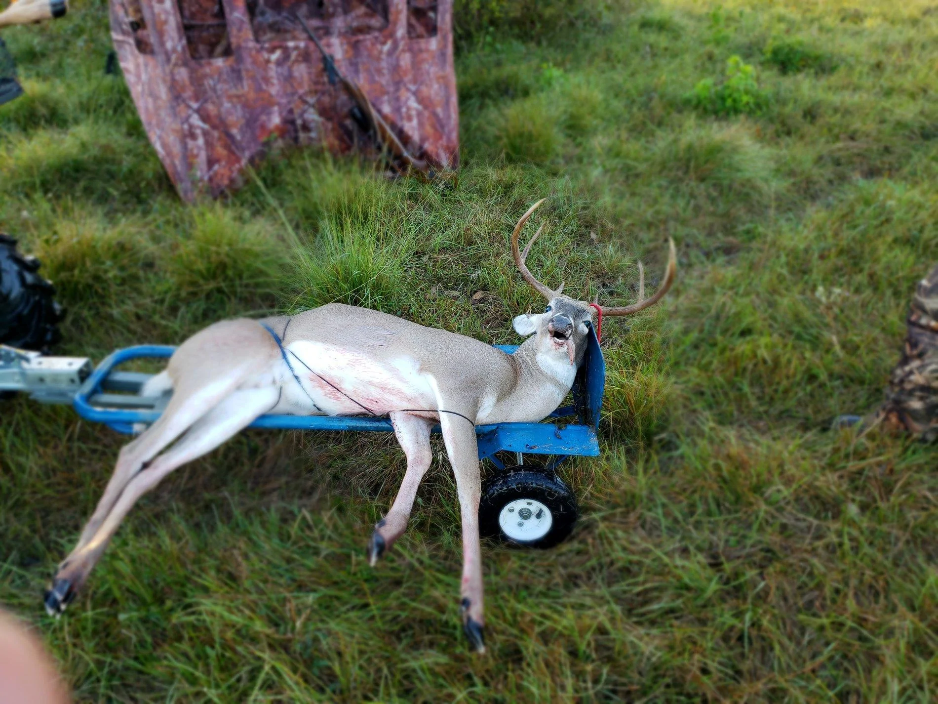 Jeep Gladiator Gladiator Deer Hoist:  Calling all engineers 20191102_083810