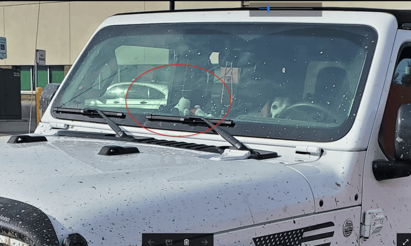 Jeep Gladiator Joined the Gladiator cracked window club Cracked