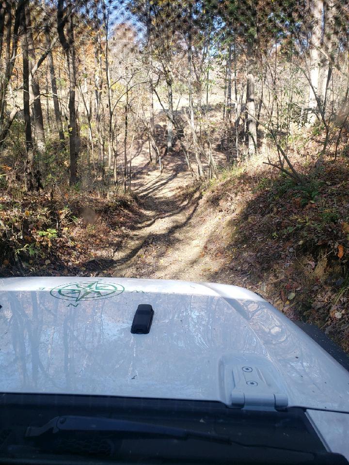 Jeep Gladiator What did you do WITH your Gladiator today? 125466