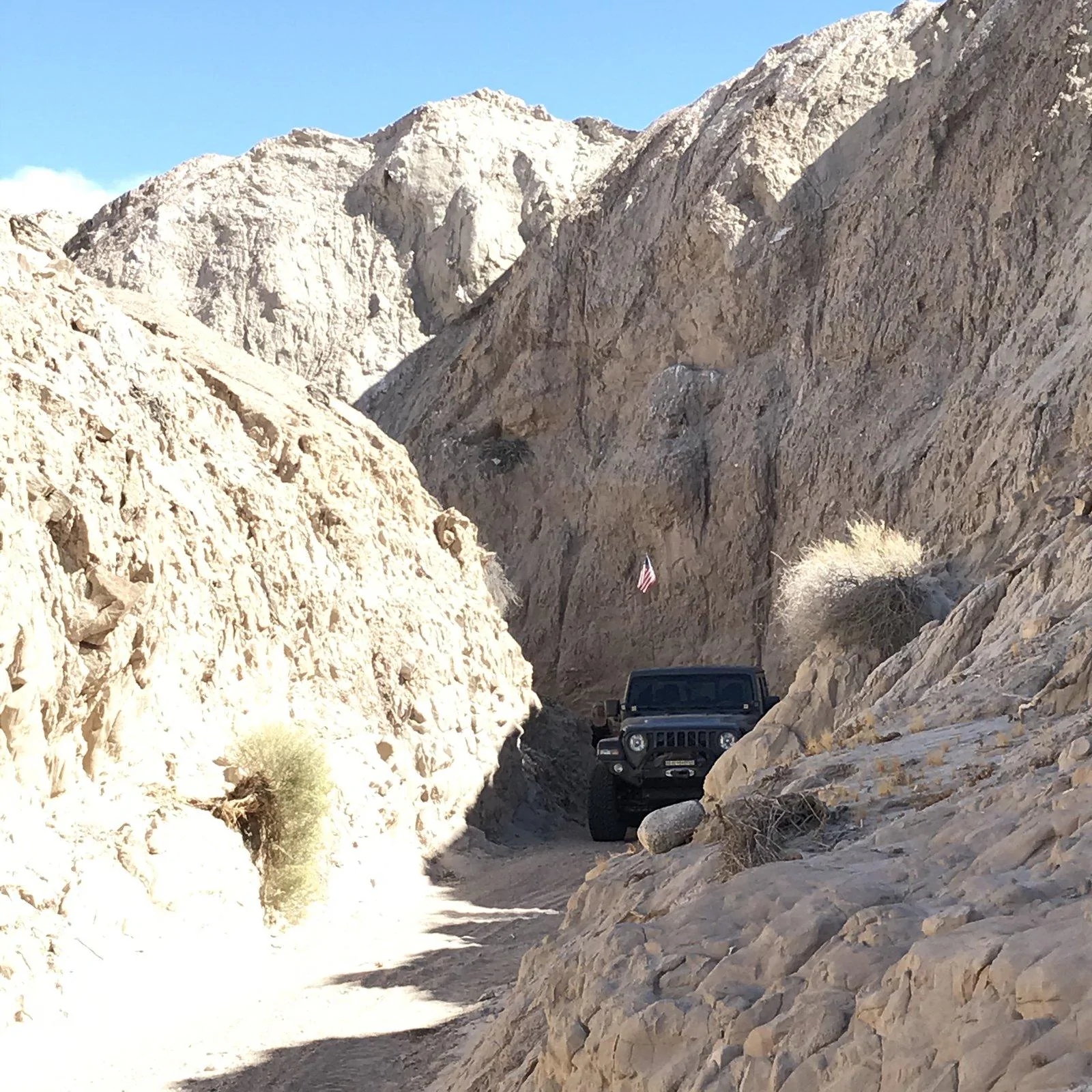 Jeep Gladiator What did you do WITH your Gladiator today? 3710E7E6-EC58-42D9-9BB8-AE3D55C46E26