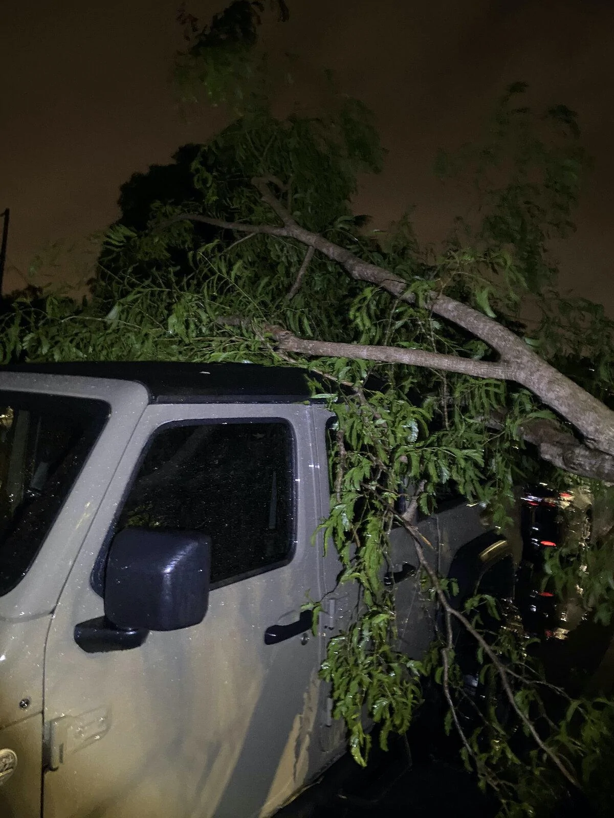 Jeep Gladiator Soft top shows toughness from downed tree IMG_3358