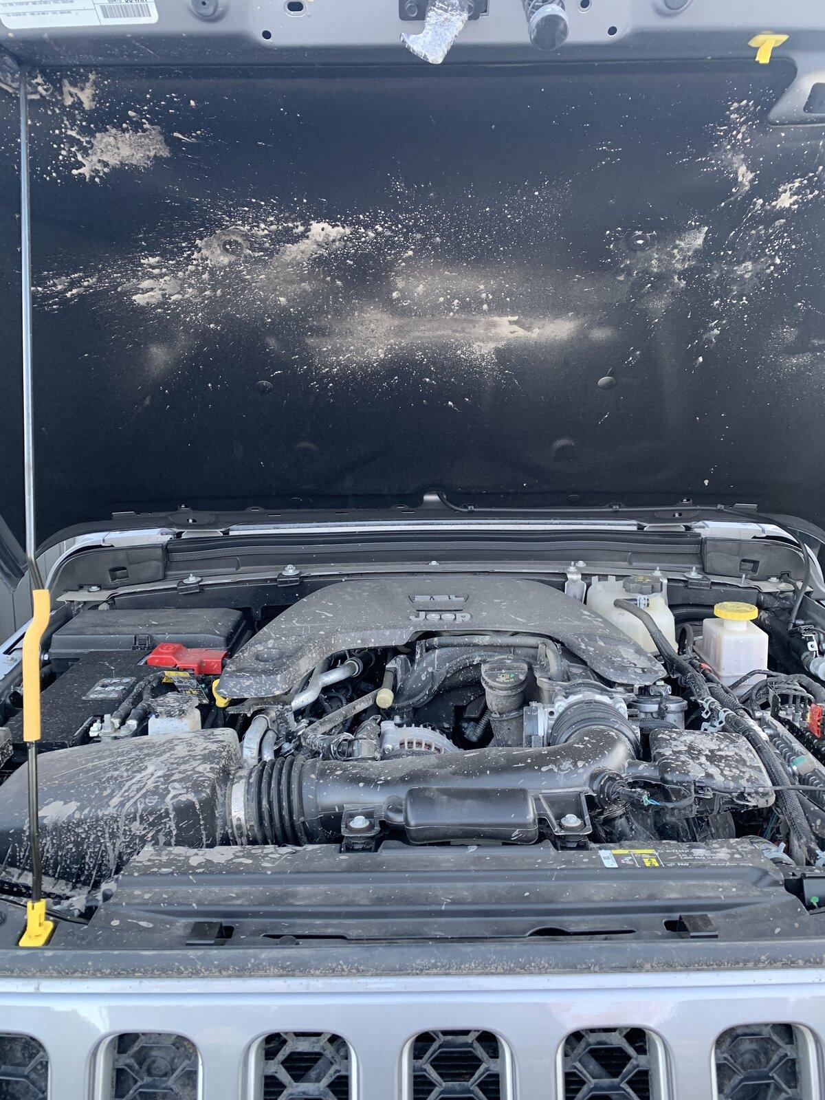 Jeep Gladiator Questions about after going through water! 2EE79357-A139-4D65-9943-4C8D2C3DE651