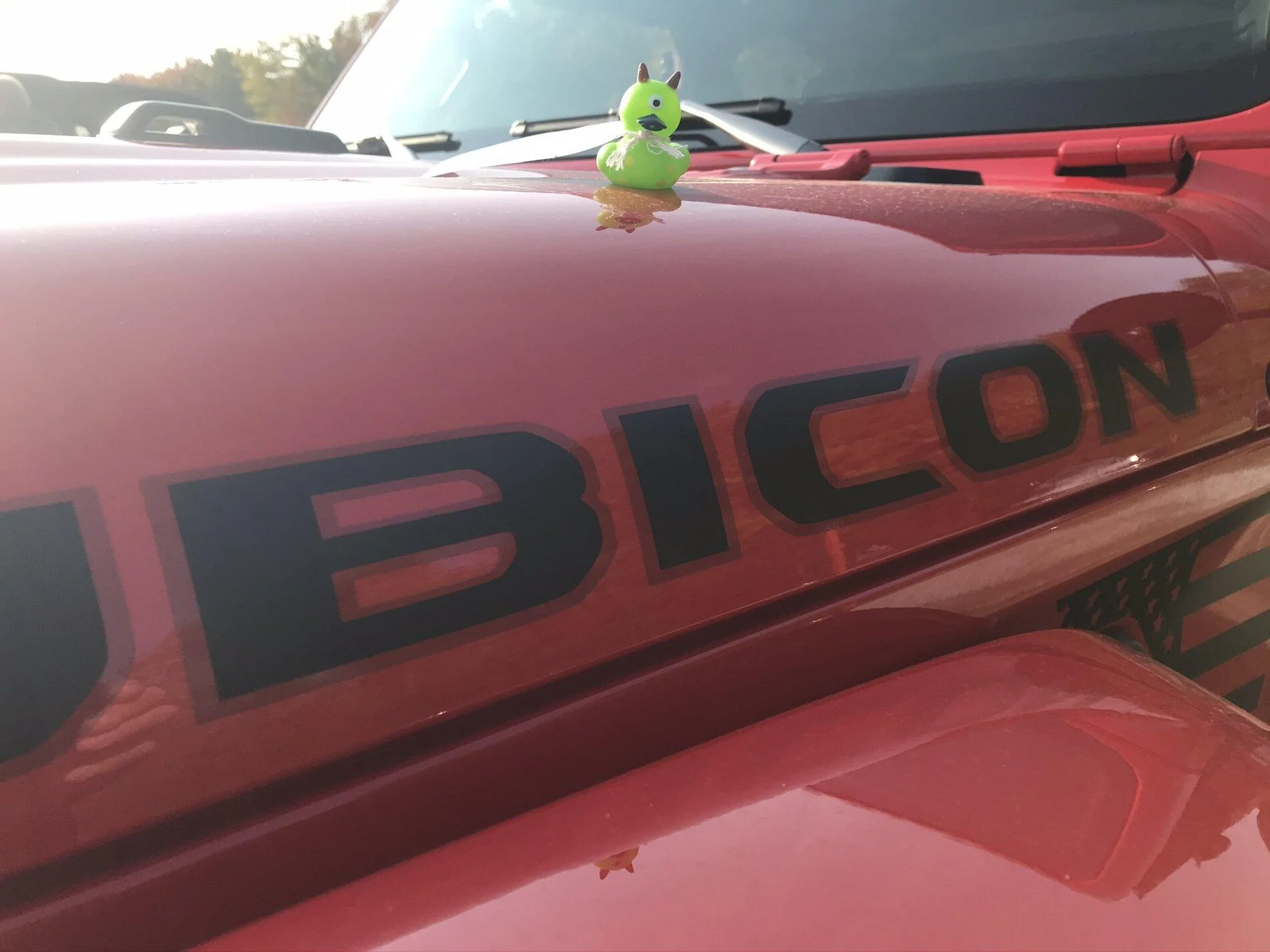 Jeep Gladiator Get a duck yet? 88F6B072-5163-4C5A-B2BD-6F9B9782BA90
