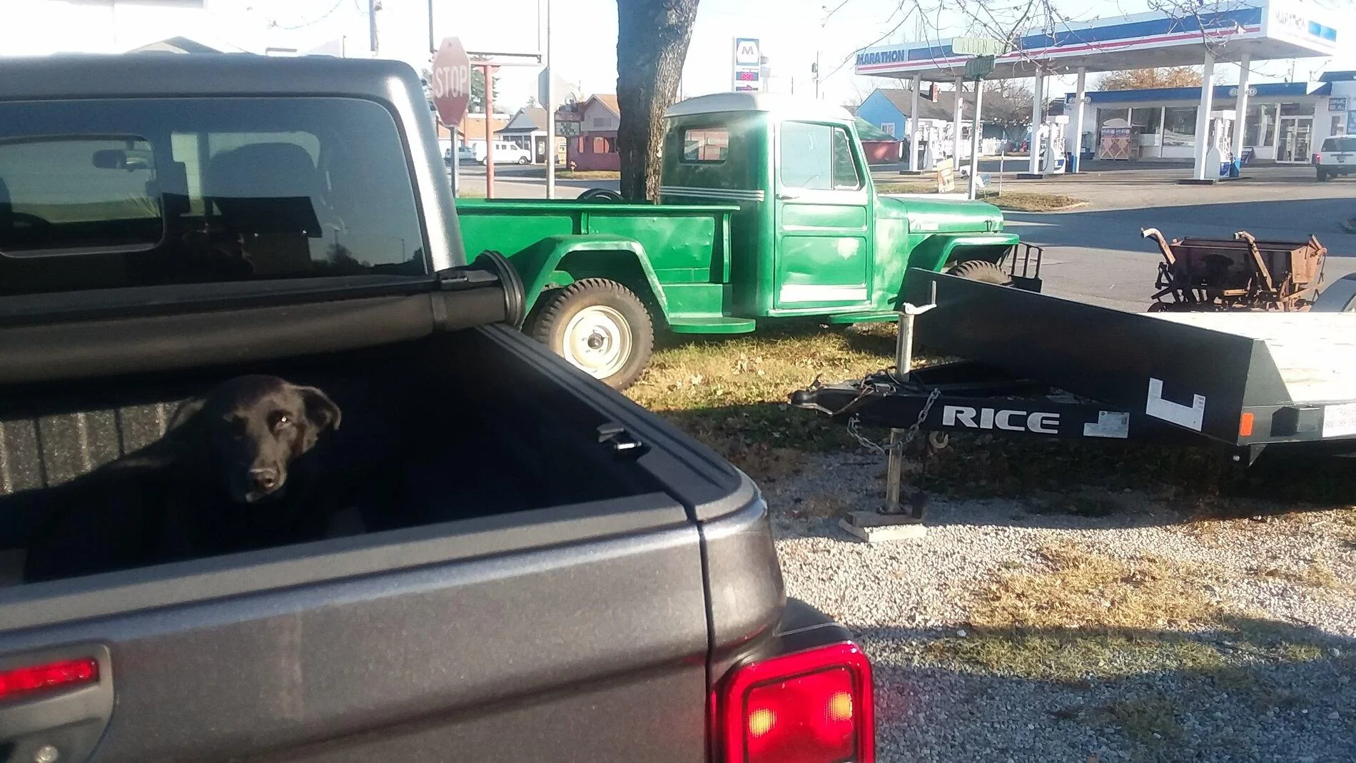 Jeep Gladiator Saw this while out. 20201113_091759