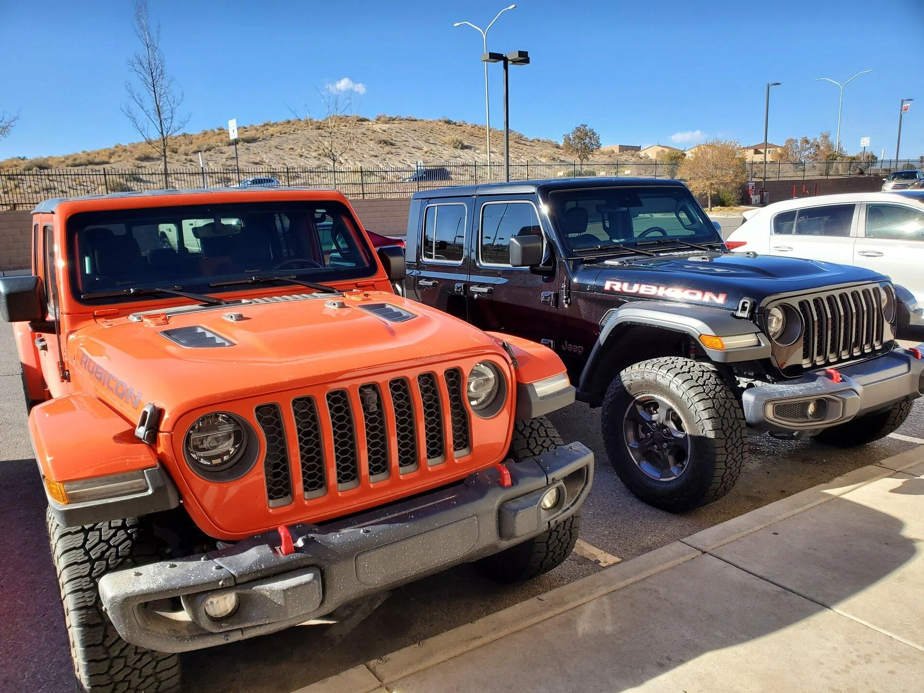 Jeep Gladiator Jeeps Parking Next To Jeeps 20201114_135440