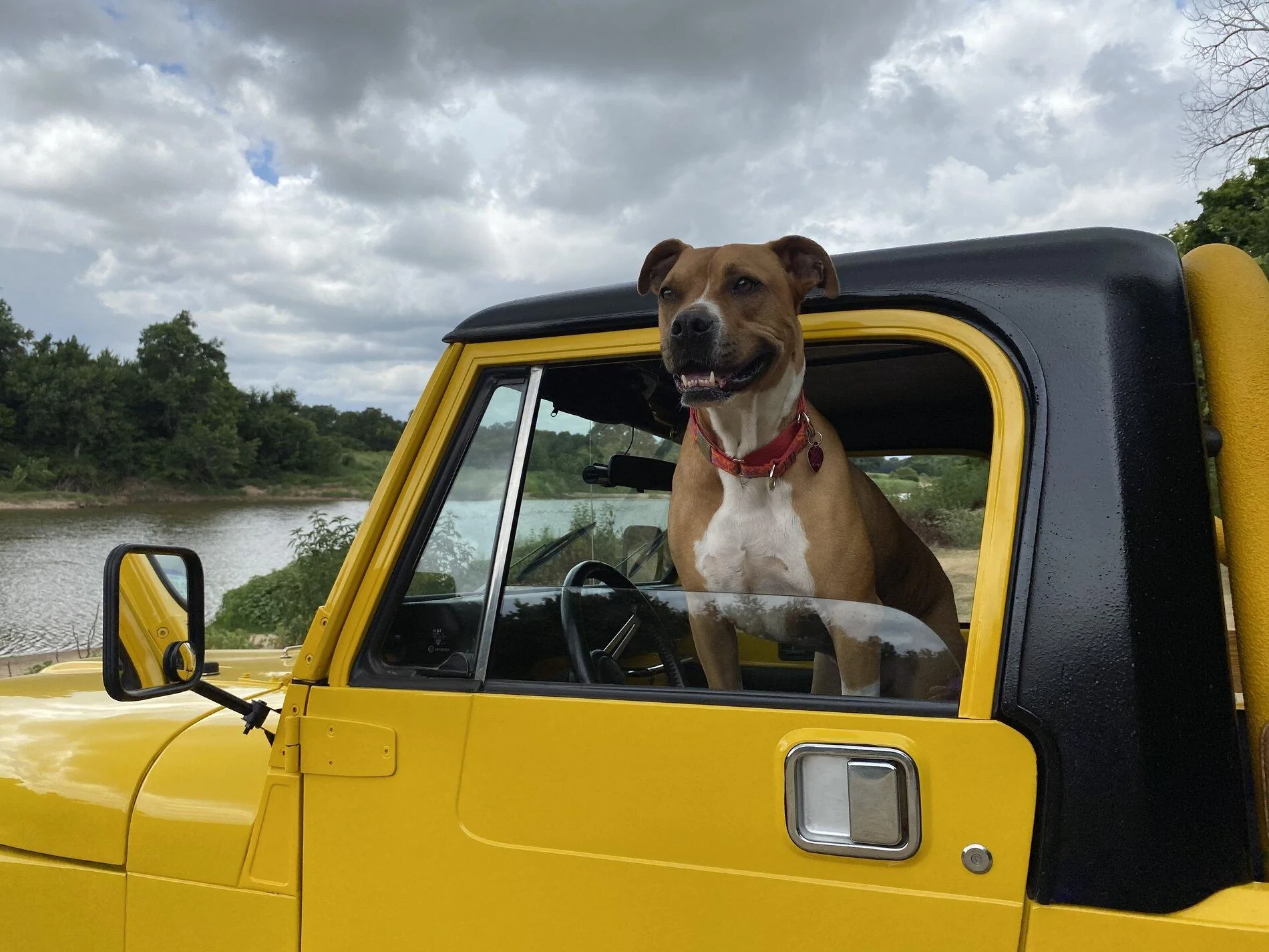 Jeep Gladiator Glad(iator) Dogs! Let's see 'em! 8C8EDABD-1FB0-42D6-8FCA-FA586A07F3C8