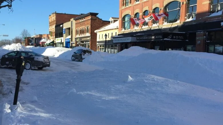 Jeep Gladiator Steps for tailgate? PEI Winter