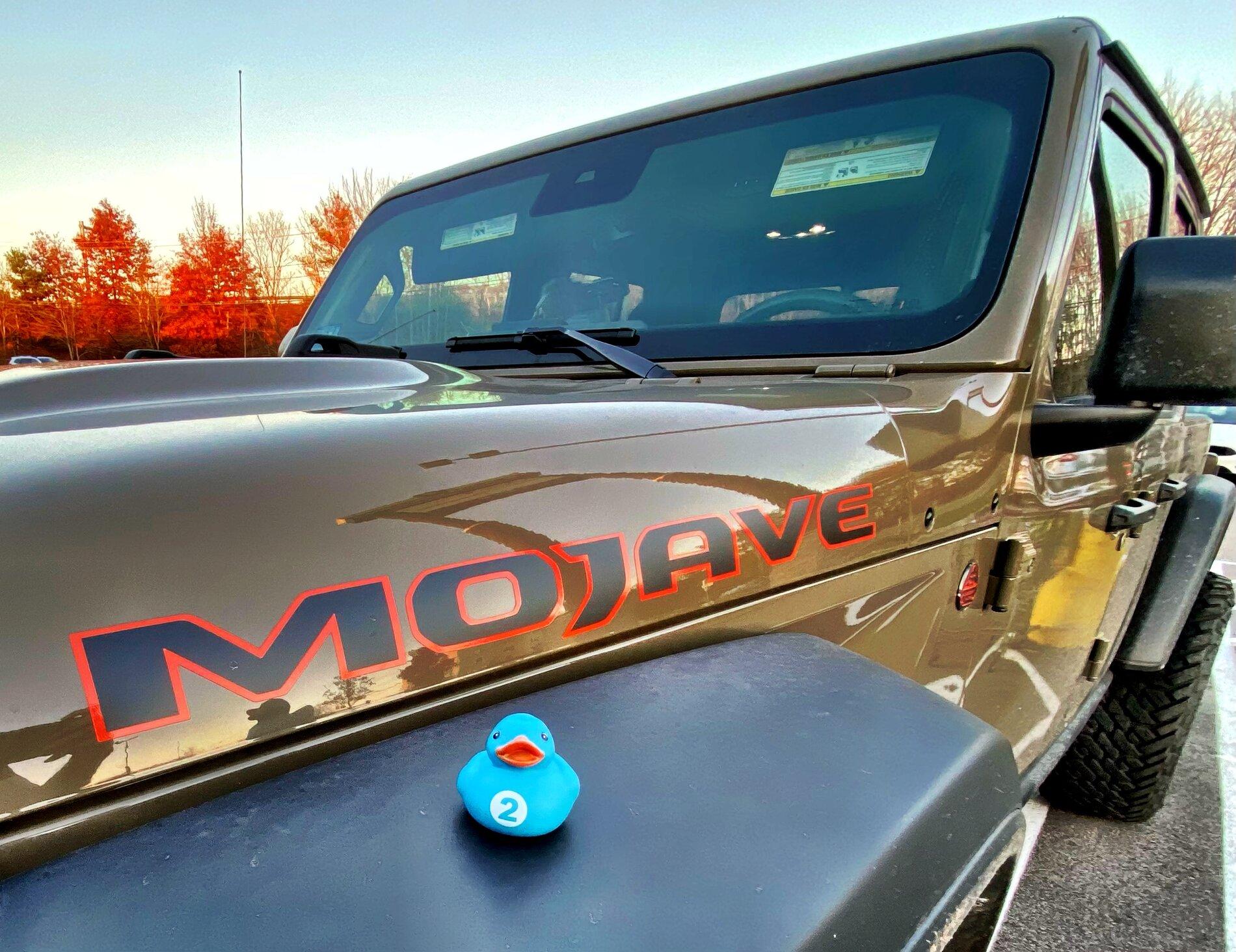 Jeep Gladiator ***Official Mojave Thread*** Lets talk Mojaves 4C091127-DABA-4CC0-9D19-F7F9D71A797D