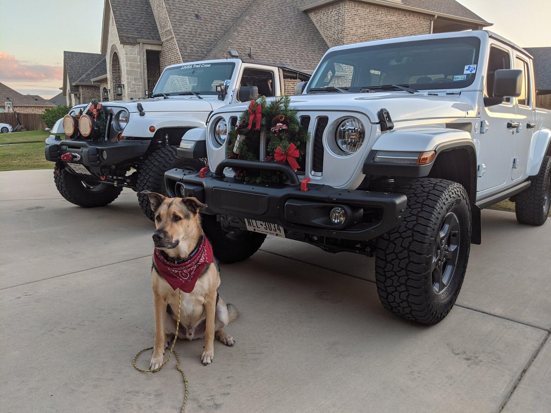 Jeep Gladiator Jeep Christmas Decorations??? MVIMG_20201121_171715