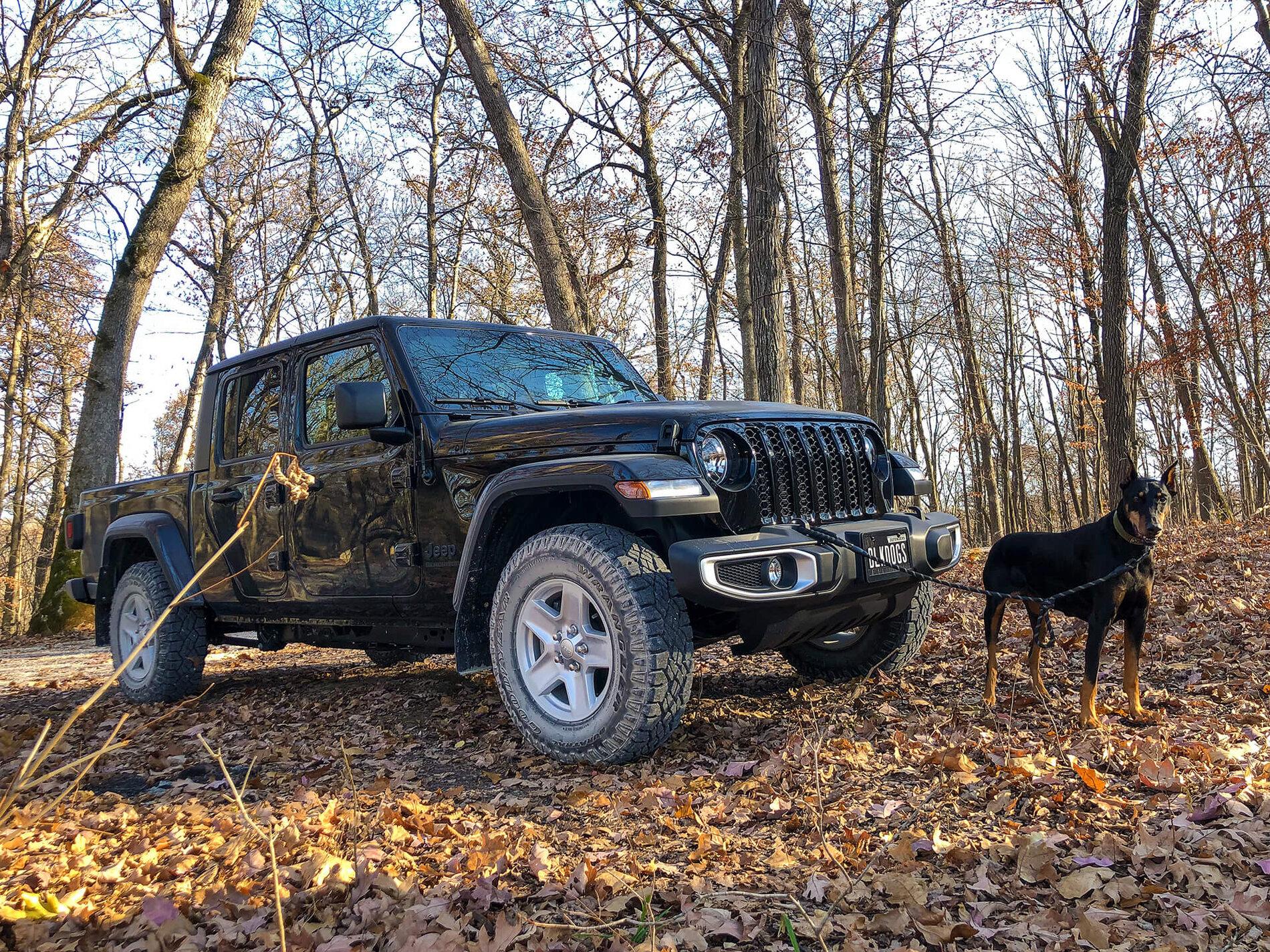 Jeep Gladiator Glad(iator) Dogs! Let's see 'em! yrf_2020