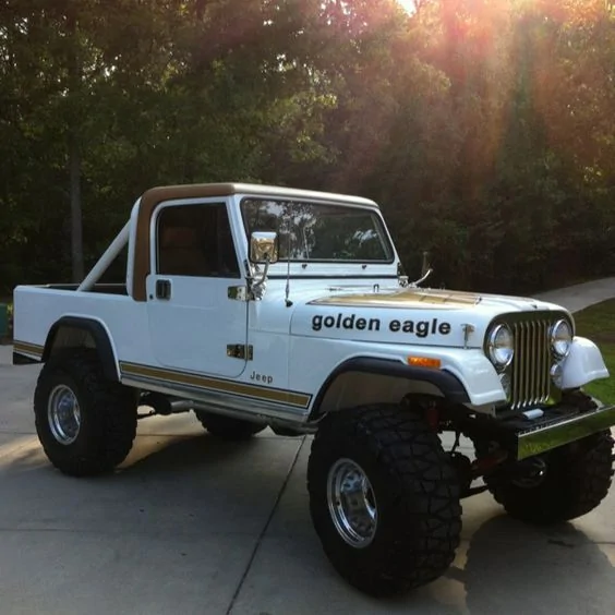 Jeep Gladiator Humor a9db91ecb30d1f303f5f608f28ef4718