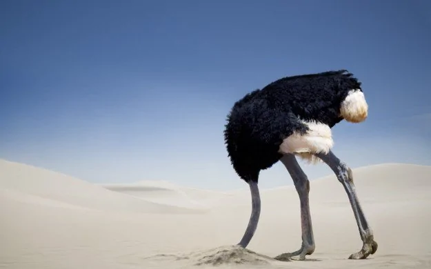 Jeep Gladiator 2020 Gladiator ordering bank now open! ostrich-head-in-sand