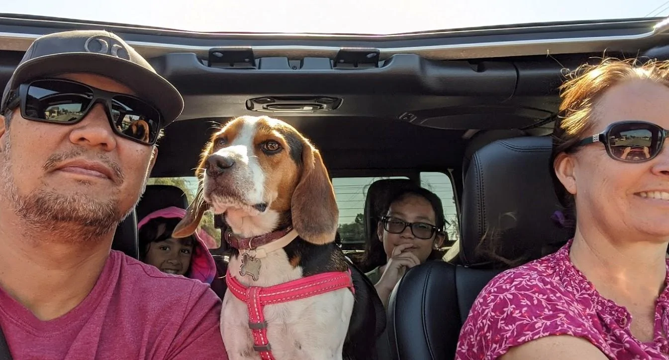 Jeep Gladiator Glad(iator) Dogs! Let's see 'em! jeep-beagle2
