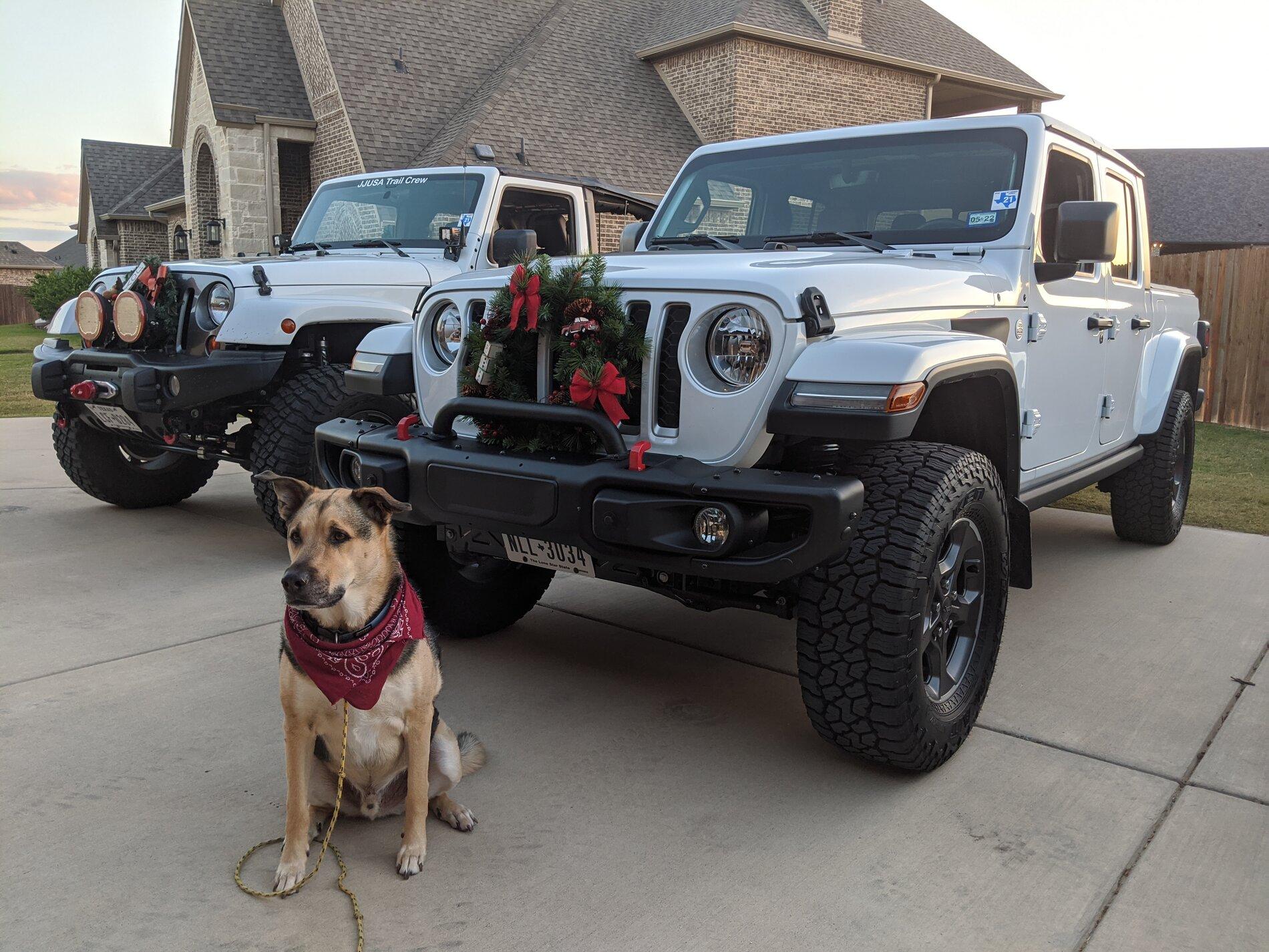 Jeep Gladiator Glad(iator) Dogs! Let's see 'em! ima